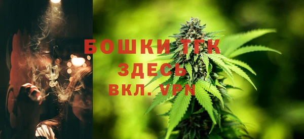 прущая мука Пересвет