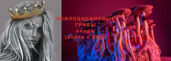 прущая мука Пересвет