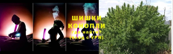 спиды Покачи