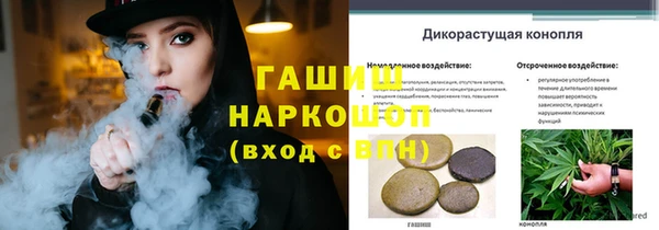 спиды Покачи