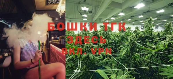 прущая мука Пересвет