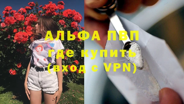молекула духа Покров