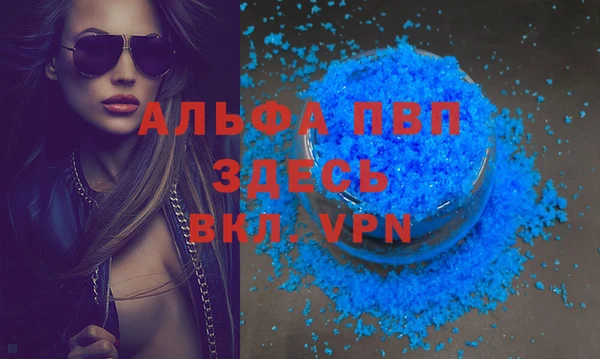 спиды Покачи