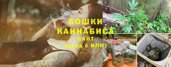 гидра Пестово