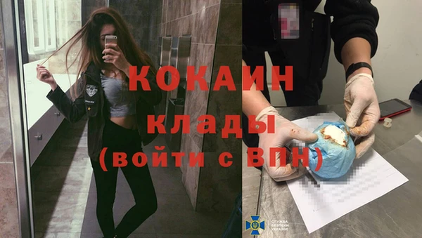 молекула духа Покров
