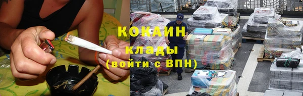 молекула духа Покров