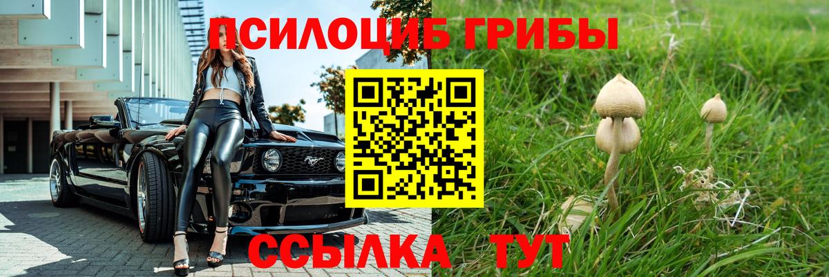 Псилоцибиновые грибы MAGIC MUSHROOMS  Галлюциногенные грибы Psilocybe  Белогорск  Вход с VPN 
