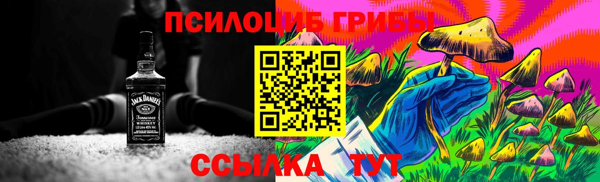 Псилоцибиновые грибы мухоморы  Белогорск  что такое наркотик  Галлюциногенные грибы Psilocybine cubensis 