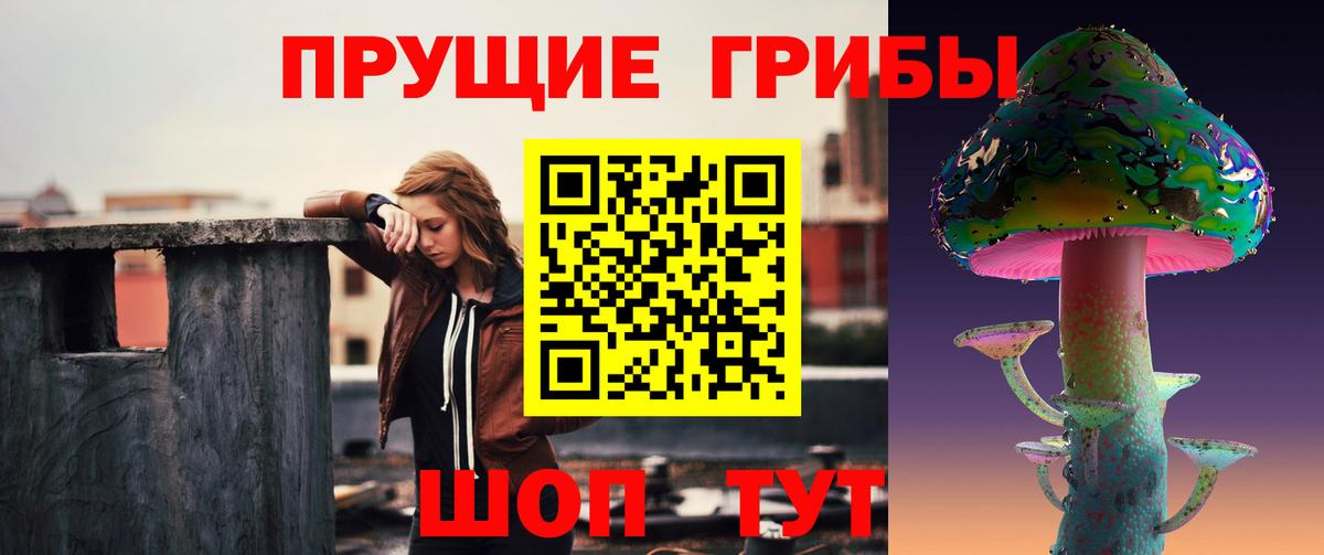 Псилоцибиновые грибы Psilocybe Белогорск